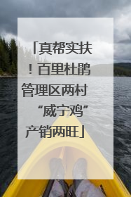 真帮实扶！百里杜鹃管理区两村“威宁鸡”产销两旺
