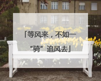 等风来，不如一“骑”追风去