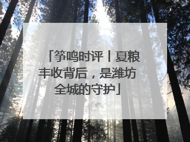 筝鸣时评丨夏粮丰收背后，是潍坊全城的守护