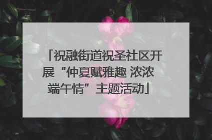 祝融街道祝圣社区开展“仲夏赋雅趣 浓浓端午情”主题活动