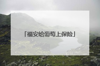 福安给葡萄上保险