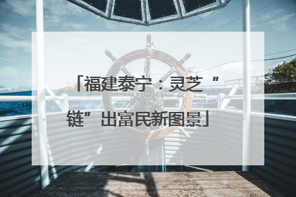 福建泰宁：灵芝“链”出富民新图景