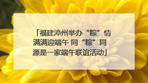 福建漳州举办“粽”情满满迎端午 同“粽”同源是一家端午联谊活动