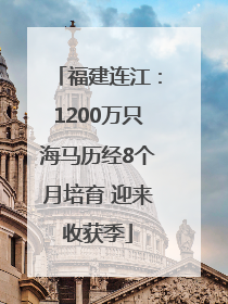 福建连江：1200万只海马历经8个月培育 迎来收获季