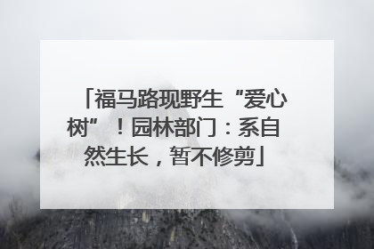 福马路现野生“爱心树”！园林部门：系自然生长，暂不修剪