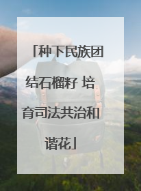 种下民族团结石榴籽 培育司法共治和谐花