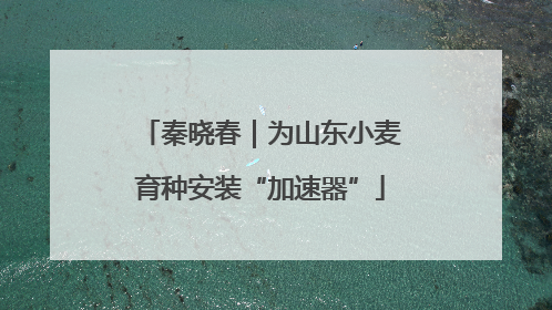 秦晓春｜为山东小麦育种安装“加速器”