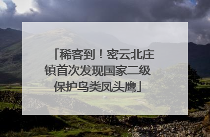 稀客到！密云北庄镇首次发现国家二级保护鸟类凤头鹰