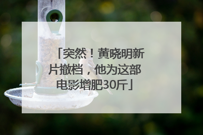 突然！黄晓明新片撤档，他为这部电影增肥30斤