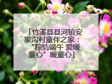 竹溪县县河镇安家沟村童伴之家：“粽情端午 爱暖童心”暖童心
