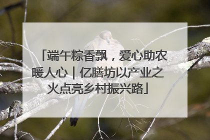 端午粽香飘，爱心助农暖人心｜亿膳坊以产业之火点亮乡村振兴路