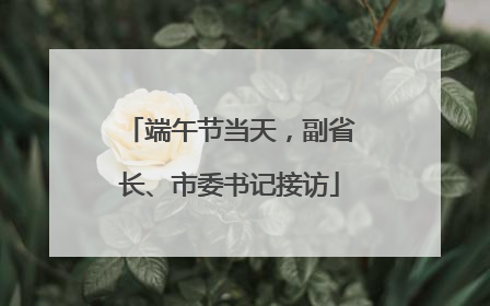 端午节当天，副省长、市委书记接访