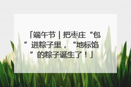 端午节｜把枣庄“包”进粽子里，“地标馅”的粽子诞生了！