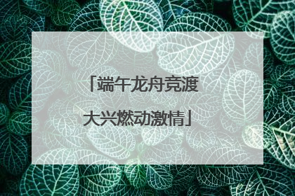 端午龙舟竞渡 大兴燃动激情