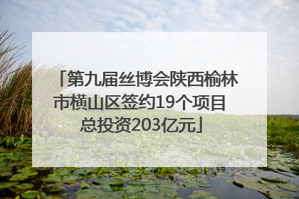 第九届丝博会陕西榆林市横山区签约19个项目 总投资203亿元