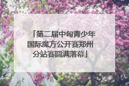 第二届中匈青少年国际魔方公开赛郑州分站赛圆满落幕