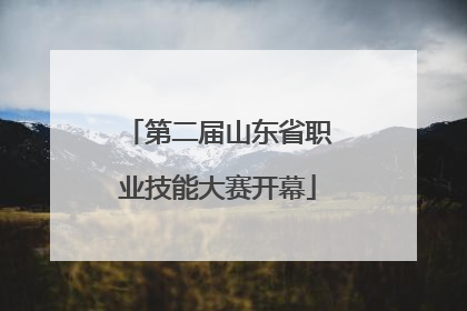第二届山东省职业技能大赛开幕