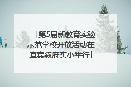 第5届新教育实验示范学校开放活动在宜宾叙府实小举行