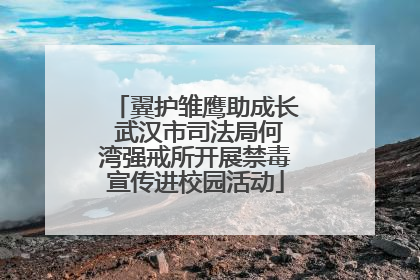 翼护雏鹰助成长 武汉市司法局何湾强戒所开展禁毒宣传进校园活动