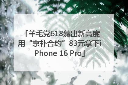 羊毛党618薅出新高度 用“京补合约”83元拿下iPhone 16 Pro