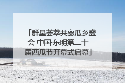群星荟萃共襄瓜乡盛会 中国·东明第二十届西瓜节开幕式启幕