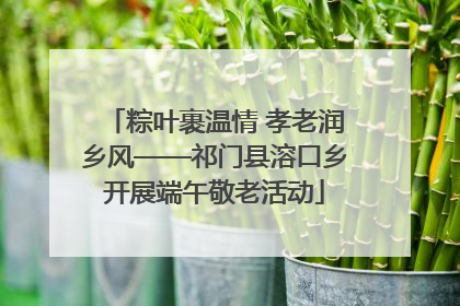 粽叶裹温情 孝老润乡风——祁门县溶口乡开展端午敬老活动