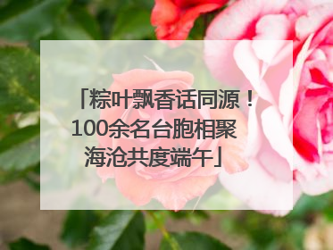 粽叶飘香话同源！100余名台胞相聚海沧共度端午