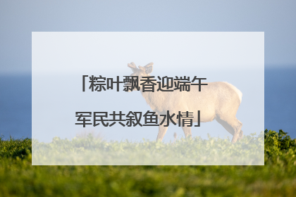 粽叶飘香迎端午 军民共叙鱼水情