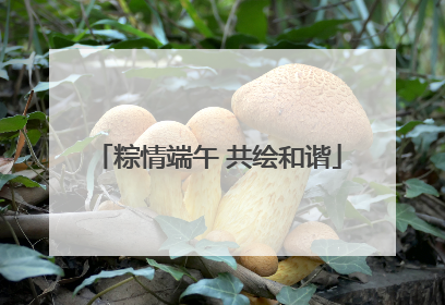 粽情端午 共绘和谐