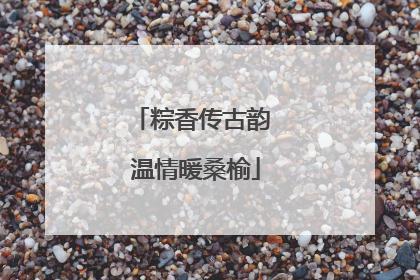 粽香传古韵 温情暖桑榆