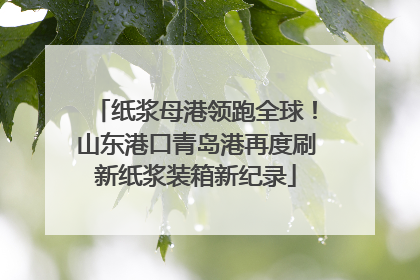 纸浆母港领跑全球！山东港口青岛港再度刷新纸浆装箱新纪录