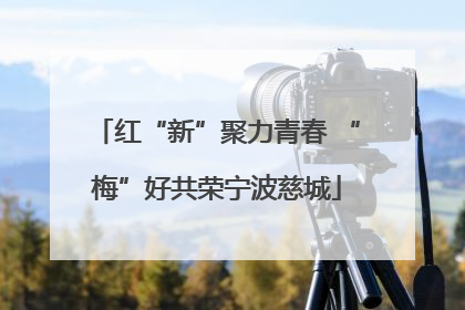 红“新”聚力青春 “梅”好共荣宁波慈城