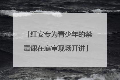 红安专为青少年的禁毒课在庭审现场开讲