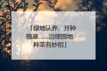 绿地认养、开种植课……治理圈地种菜有妙招