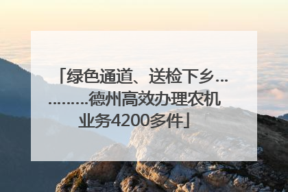 绿色通道、送检下乡…………德州高效办理农机业务4200多件