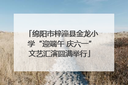 绵阳市梓潼县金龙小学“迎端午 庆六一”文艺汇演圆满举行