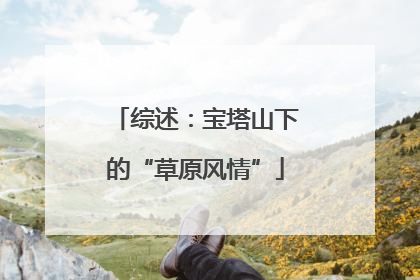 综述：宝塔山下的“草原风情”