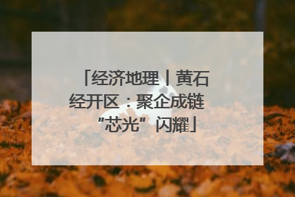经济地理丨黄石经开区：聚企成链“芯光”闪耀