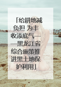 给耕地减负担 为丰收添底气——黑龙江省综合施策推进黑土地保护利用