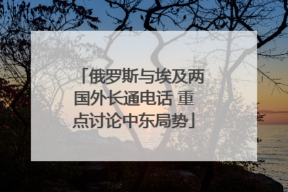 俄罗斯与埃及两国外长通电话 重点讨论中东局势