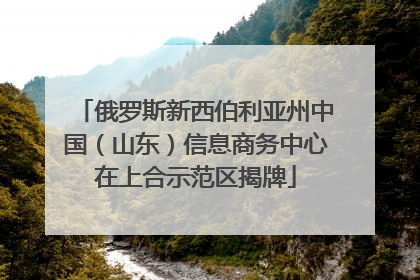 俄罗斯新西伯利亚州中国（山东）信息商务中心在上合示范区揭牌