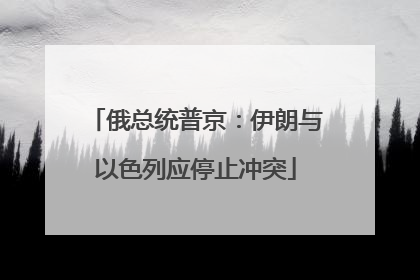 俄总统普京：伊朗与以色列应停止冲突