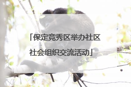 保定竞秀区举办社区社会组织交流活动