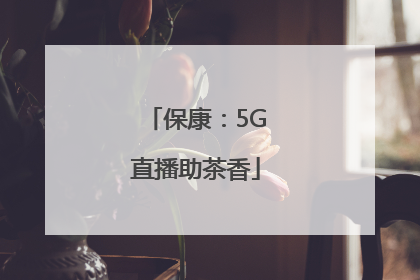 保康：5G直播助茶香