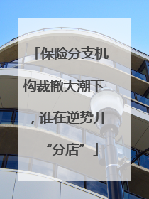 保险分支机构裁撤大潮下，谁在逆势开“分店”