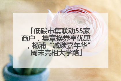 低碳市集联动55家商户，集章换券享优惠，杨浦“减碳嘉年华”周末亮相大学路