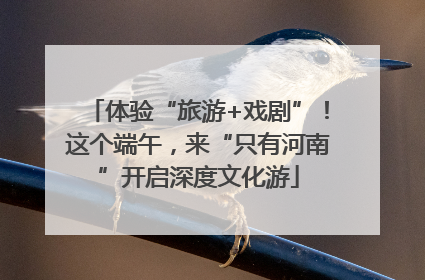 体验“旅游+戏剧”！这个端午，来“只有河南”开启深度文化游