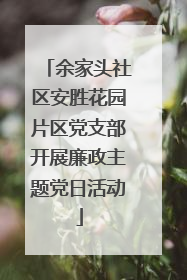 余家头社区安胜花园片区党支部开展廉政主题党日活动