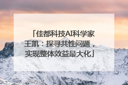 佳都科技AI科学家王凯：探寻共性问题，实现整体效益最大化