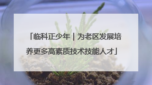 临科正少年｜为老区发展培养更多高素质技术技能人才